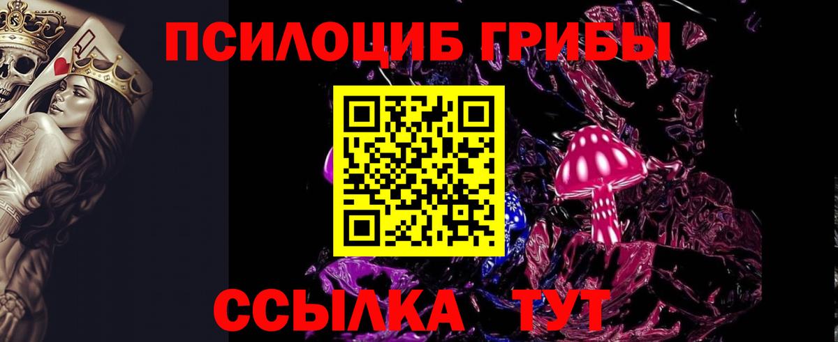 Галлюциногенные грибы прущие грибы  сколько стоит  Вход с VPN  Новосибирск  Псилоцибиновые грибы GOLDEN TEACHER 