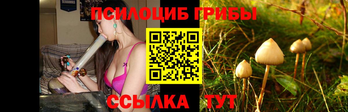 Галлюциногенные грибы Cubensis Новосибирск