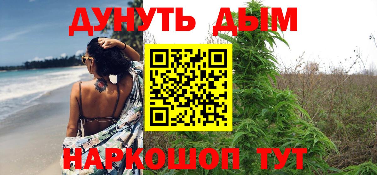 Шишки марихуана план Новосибирск
